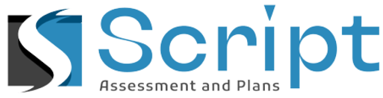 Script Assessment and Plans